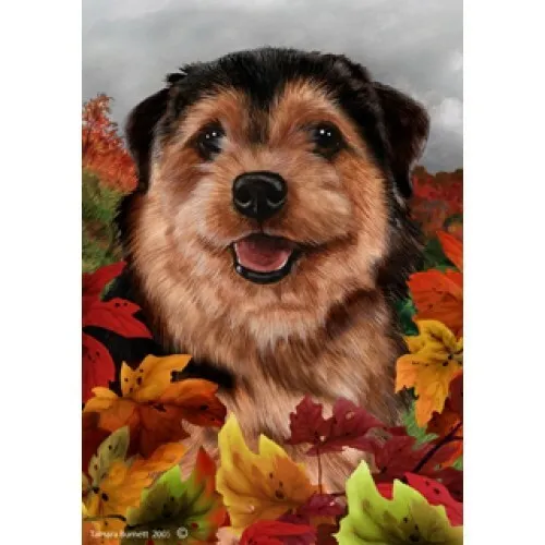 Fall House Flag - Norfolk Terrier 13225