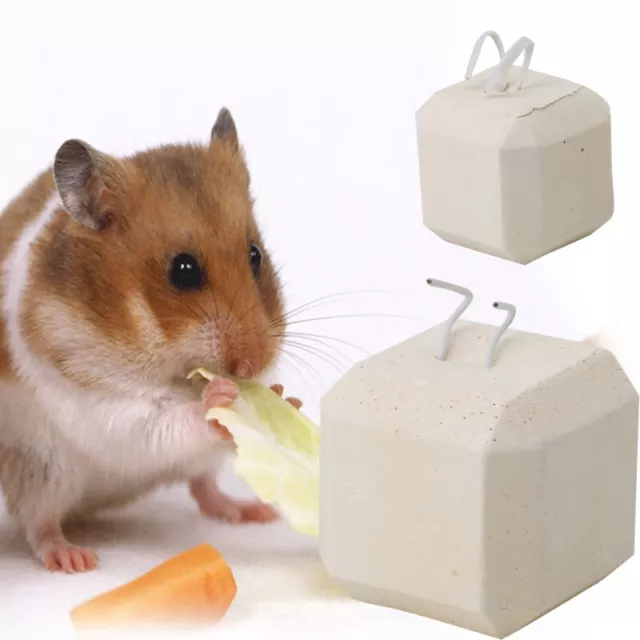 Hamster Calcium Chew Toy Teeth Grinding for Rabbit Gerbil Guinea Pigs