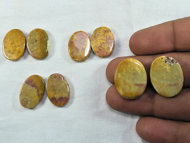 4 Pair 80Cts Natural Fossil Coral Pair Oval Cabochon Loose Gemstone HB35-22 L054