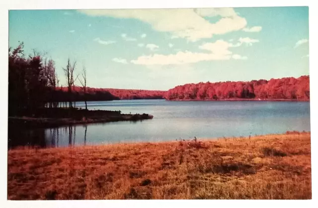 Lake Jean Endless Mountains Autumn Foliage Pennsylvania Dexter UNP Postcard 1958