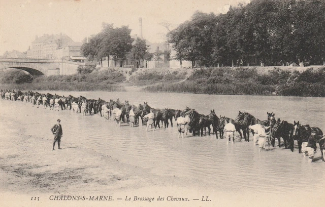 CPA 51 CHALONS sur MARNE Le Brossage des Chevaux