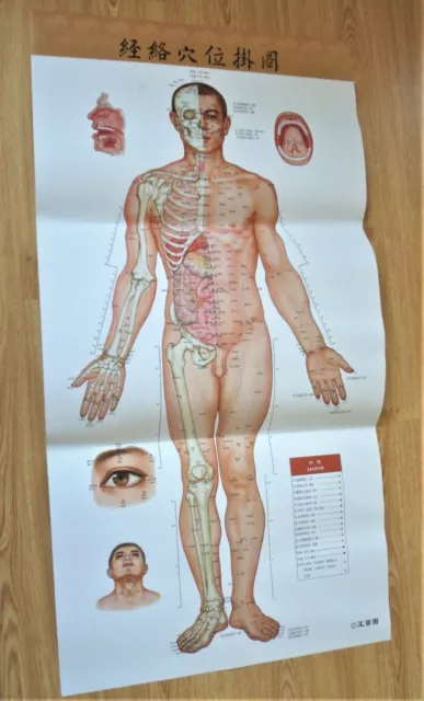 4 posters + Book Acupuncture Pressure Points Poster Meridian Chart Map Acupoints