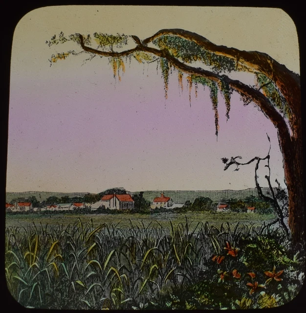 A SUGAR PLANTATION TEXAS USA 1885 ANTIQUE HAND TINTED Magic Lantern Slide