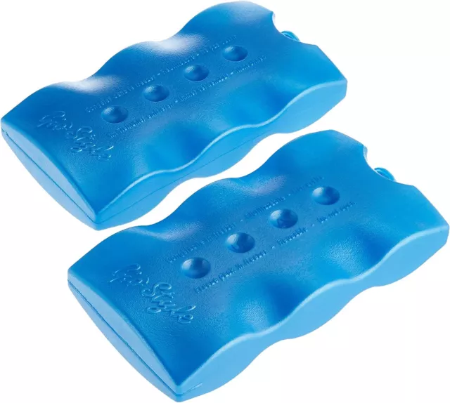 MATTONELLE REFRIGERANTI per borsa termica 2 PZ siberini ghiacciolo congelatore
