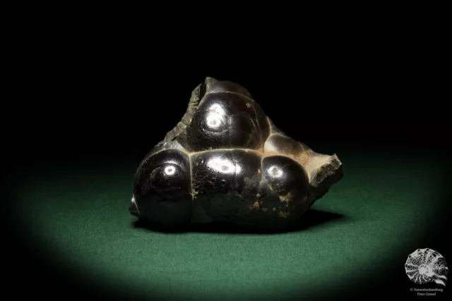 Hämatit Marokko Stufe Mineral Sammlung Kristall Deko deco