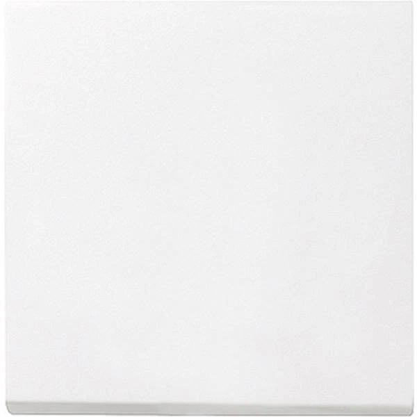 Home Fusion Company - Piastra Di Copertura Per Presa Elettrica Singola, Bianca