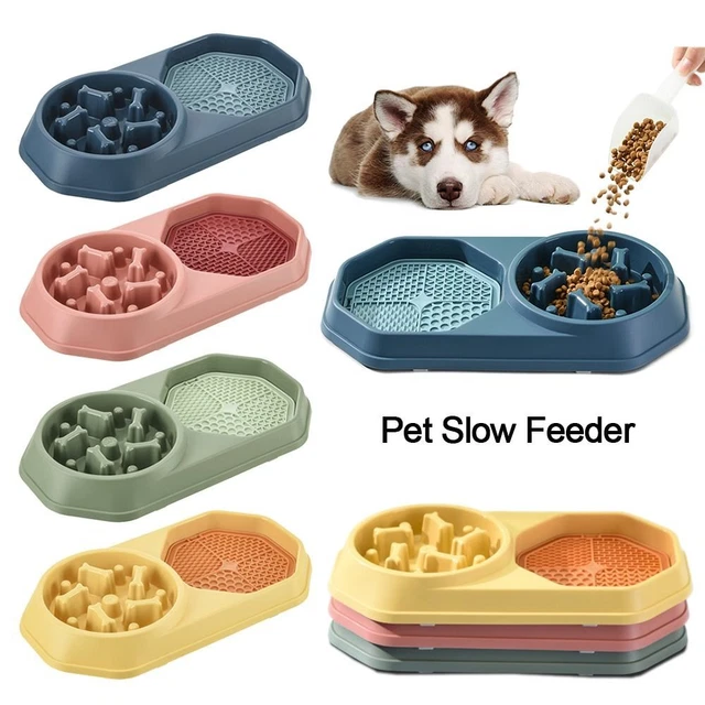 lente pour animaux de compagnie Plats pour chiot Bols de nourriture pour chiens