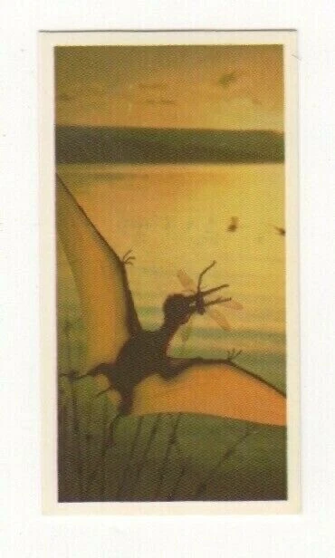Brooke Bond #27 - The Pterodactyl Mystery