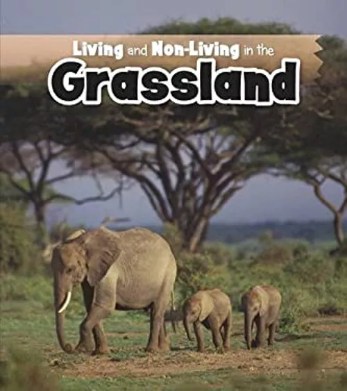 Living and Non-Living in the Grasslands Paperback Rebecca Rissman