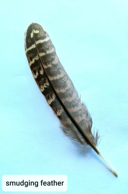 Smudge Feather - for White Sage Smudge, Palo Santo Smudging - Natural Feather