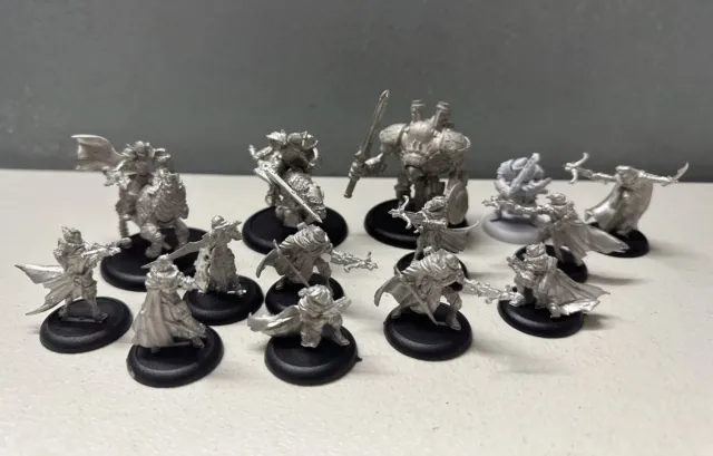 Warmachine Cygnar Major Katherine Laddermore Plus More Lot Of 14