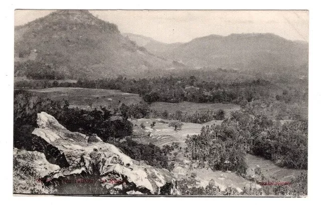 Ceylon 1908 Scene from Railway to Kandy - Picture Postcard - Used to Ireland 2