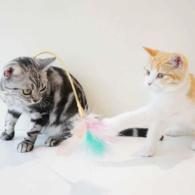 Chat Jouet Plume Interactif Drôle Teaser Bâton De Chat Avec Pet Chaton J.. B1N5