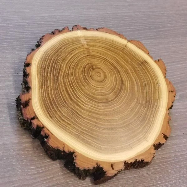 1 Pieza Acacia Jabalí Escudo de Trofeo Placa Brett Jabalí Baumscheibe AF16cm 3