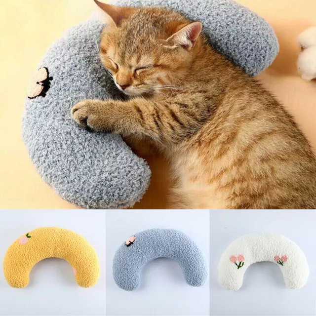 Catnip Teeth Scratch Crazy Grinding Chew Pet Cat Toy Gift Soft Play Toys Pillow