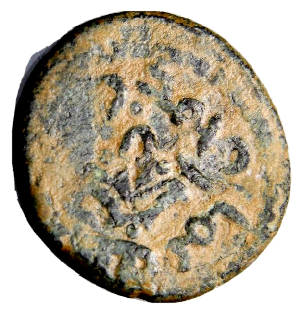 CERTIFIED AUTHENTIC Medieval Islamic Coin Umayyad Amman CLEAR RARE Flower #14
