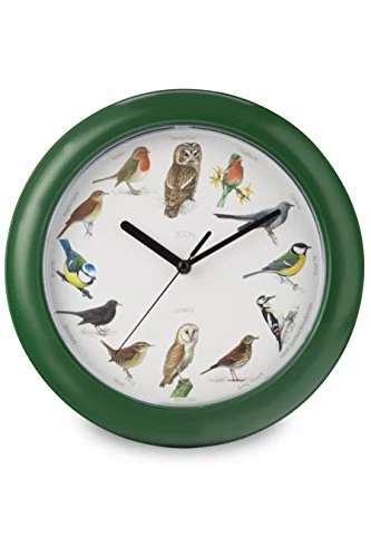 Zeon Tech Orologio da parete Canto degli uccelli, verde, 24 x 24 x 1 cm