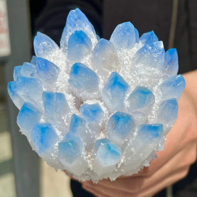 1.28LB New Find Blue Phantom Quartz Crystal Cluster Mineral Specimen Healing.