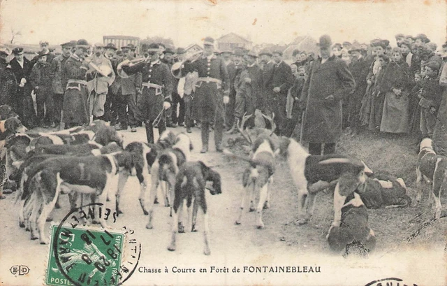 Cpa 77 Chasse a Courre En Foret De Fontainebleau La Meute Au Rendez