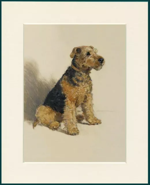 Welsh Terrier Charming Dog Print Mounted Ready To Frame