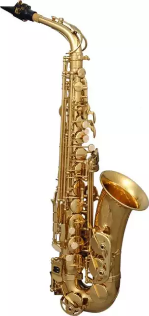 SML Paris A420-II Altsaxofon Messing Lackiert Eb-Stimmung Mundstück Etui Zubehör