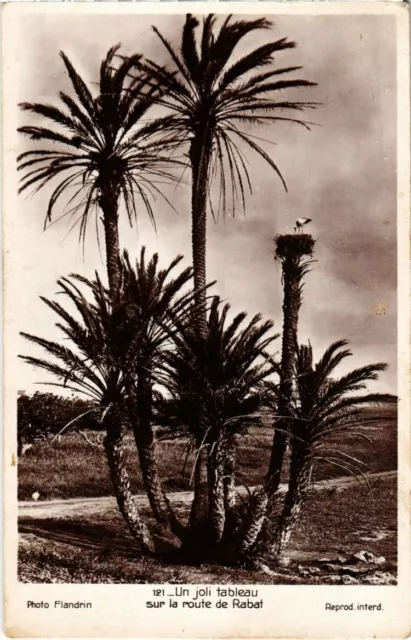 CPA AK MAROC FLANDRIN (121) Un joli tableau (114424)