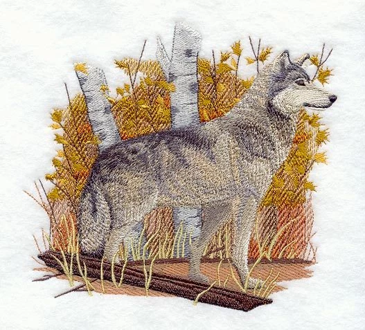 Embroidered Ladies T-Shirt - Wolf in Autumn C5498 Size S - XXL