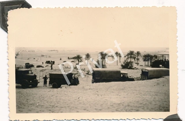 FOTO WK II Wehrmacht Soldaten Luftwaffe Fahrzeuge LKW Konvoi Libyen