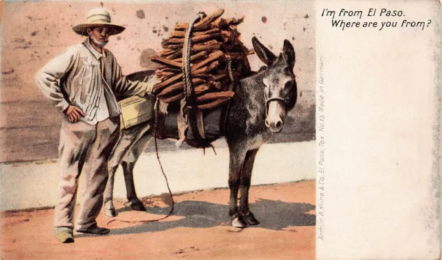El Paso TX Texas Burro Donkey Saddle Firewood Southwest Desert Vtg Postcard A34