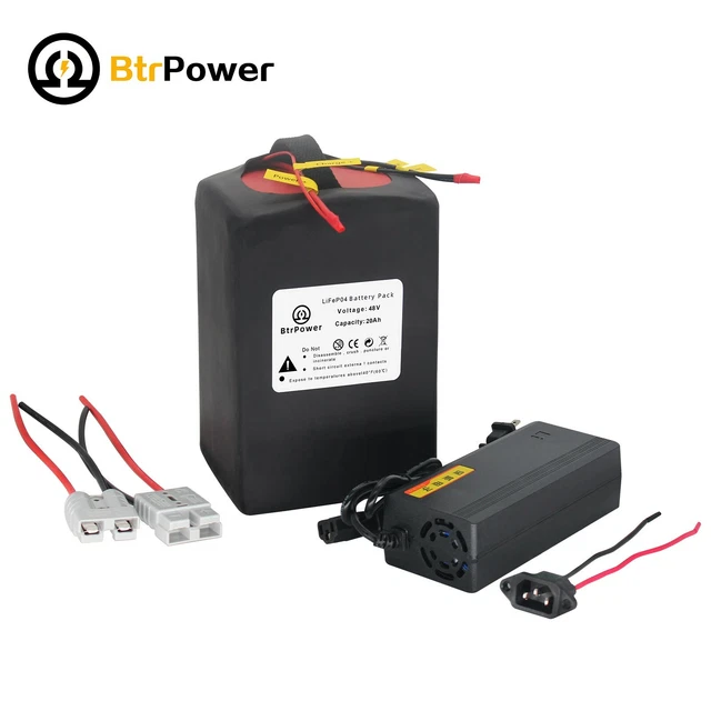 48V EBIKE BATTERY 20Ah LiFepo4 Lithium for 1500W Electric Bike Scooter