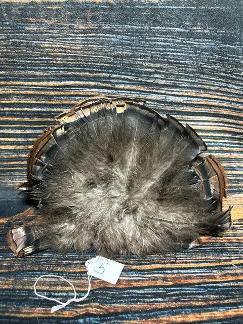Mini Wild turkey Tail feathers plume art fan Bustle Fly Tying Craft Mount Voodoo Mini Wild turkey Tail feathers plume art fan Bustle Fly Tying Craft Mount Voodoo
