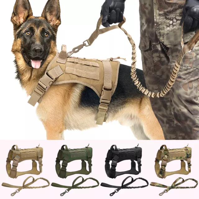 Tattica militare pettorina per cani & Guinzaglio Pettorina Cani Sistema MOLLE