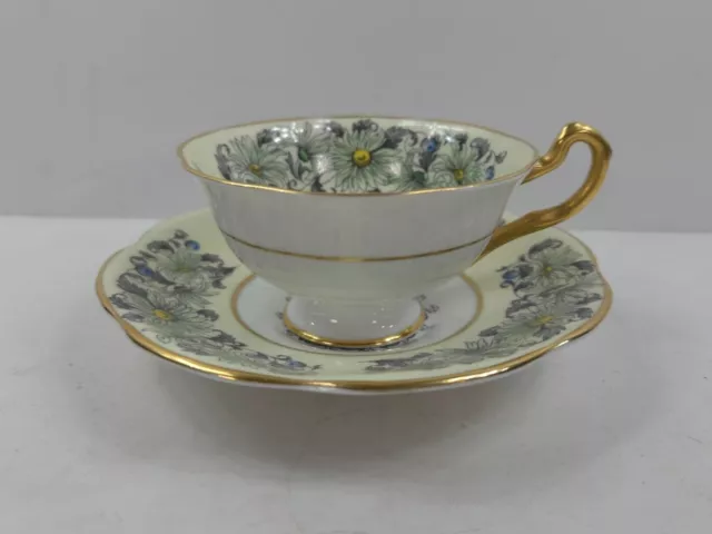 Rosina Bone China Teacup and Saucer 4844 Daisy England Perfect & HTF