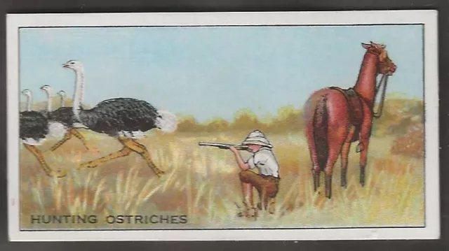 Ardath-Big Game Hunting 1930-#16- Ostrich