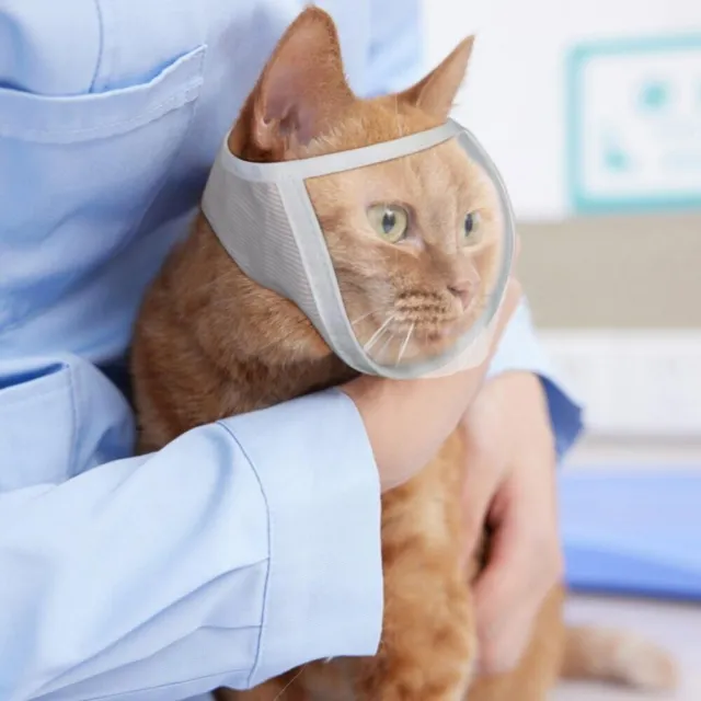 Herramientas de aseo de mascotas con orificio para gato bozal para mascotas máscara para mascotas gatito bozal de aseo