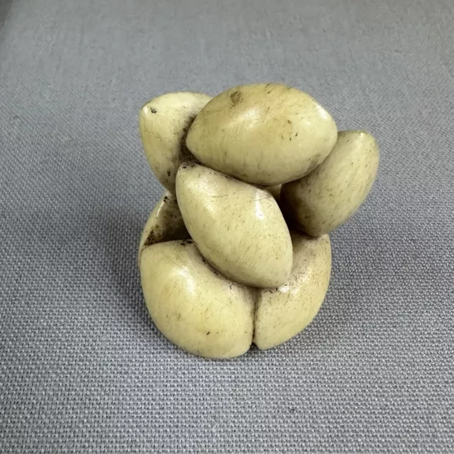 Netsuke -  Antique Japanese Katabori Netsuke of some Ginkgo Nuts 2