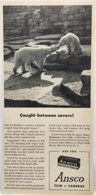 1946 Ansco Camera Film Polar Bears Vintage Print Ad Man Cave Art 40's NY