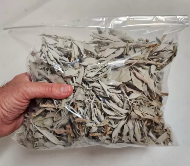 1/2 LB of Loose California White Sage Smudge Leaves & Clusters 8 oz