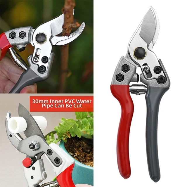 d'élagage Outil de greffage de jardin Ciseaux de jardin Pruneur greffage