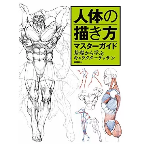 HOW TO DRAW Human Body Master Guide Character Basic Japan Anime Manga ...
