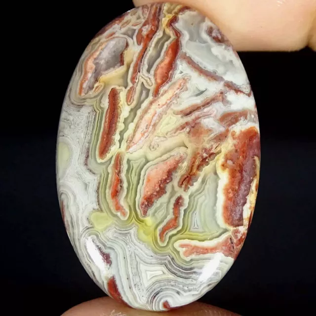 38.00Cts Natural Crazy Lace Agate Oval Cabochon Loose Gemstones