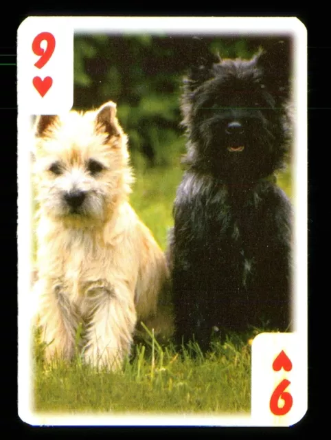 1 x Spielkarte schöne Hunde Serie - siehe Foto - 9 of Hearts S36