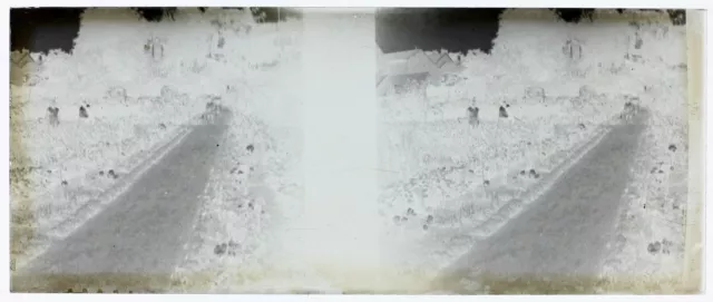 Family Garden c1930 Photo NEGATIVE Stereo Plate Vintage V36L7n  2