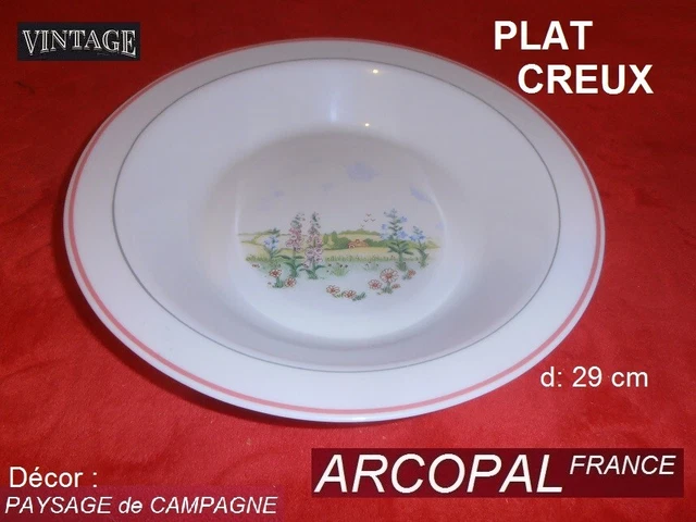 Plat Creux Arcopal Vintage, Rond, Verre, Décor Rose Et Rouge, Occasion