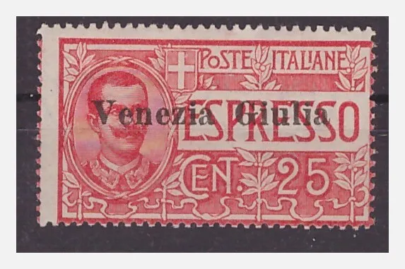 Venezia Giulia 1919 - Espresso  Nuovo ** Mnh