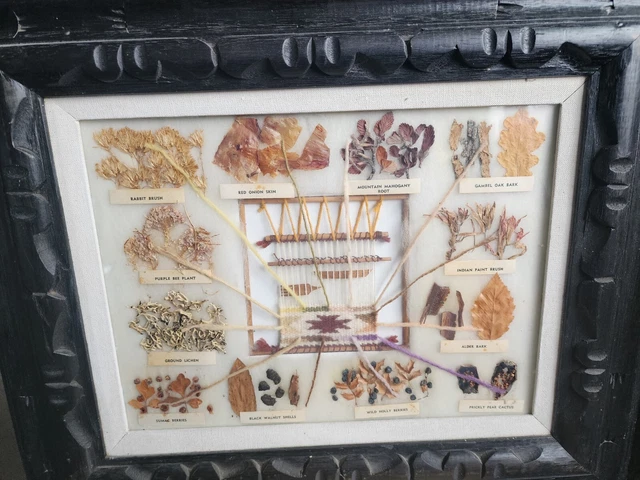 Navajo Rug Weavers Dye Chart Framed Dried Flowers Plants