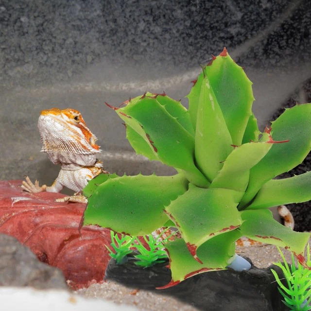 Termometro Igrometro Digitale DollaTek 3 Pezzi - Sonda Esterna Per Acquari, Rettili, Incubatrici - Foto 7