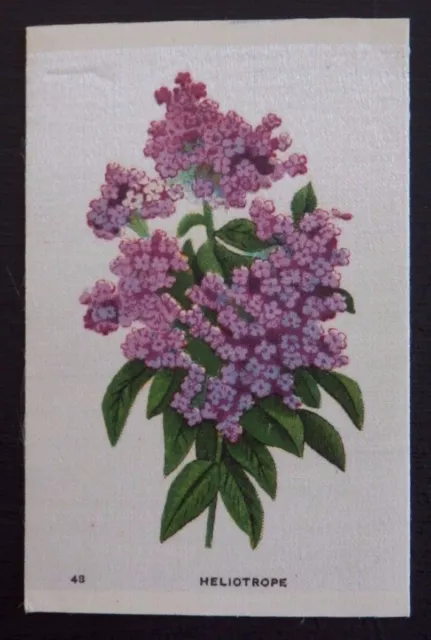 HELIOTROPE Garden Flowers of the World issued in 1913 SILK