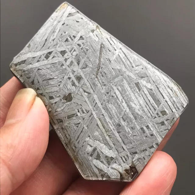 Natural Aletai Iron Meteorite Cut Slices Etched 86.3 Grams Sealed Glaze Display