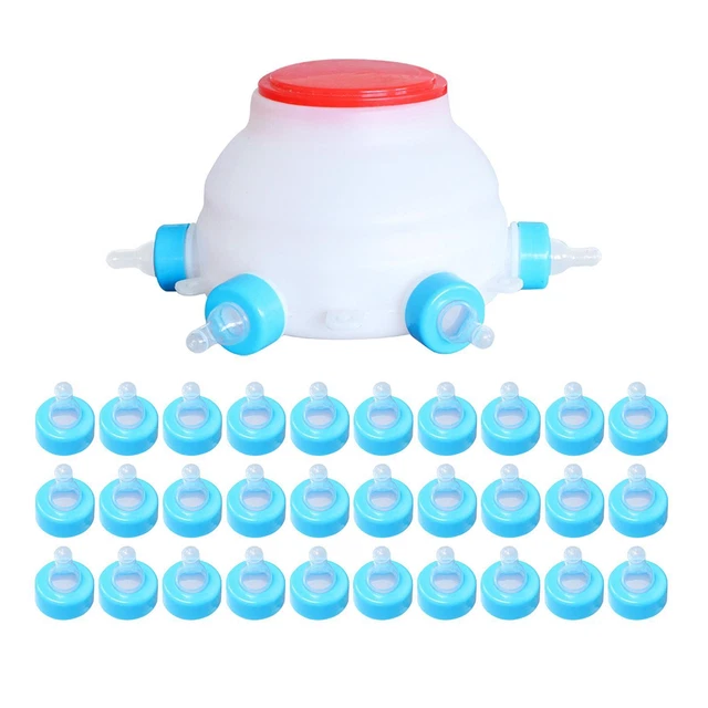 Seau D'alimentation en Silicone pour Lait D'Agneau, 8 Mamelons, Distributeur Mural de Boissons pour Bétail, 10l, pour Allaiter les Animaux, Agneau, Veau, Chèvre Seau D'alimentation en Silicone pour Lait D'Agneau, 8 Mamelons, Distributeur Mural de Boissons pour Bétail, 10l, pour Allaiter les Animaux, Agneau, Veau, Chèvre